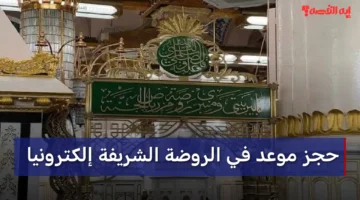 إلكترونيا.. حجز موعد في الروضة خلال شهر يناير 2026 1